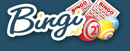 Bingi.nl